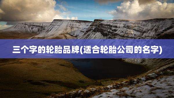 三个字的轮胎品牌(适合轮胎公司的名字)