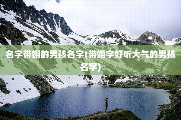 名字带翊的男孩名字(带翊字好听大气的男孩名字)