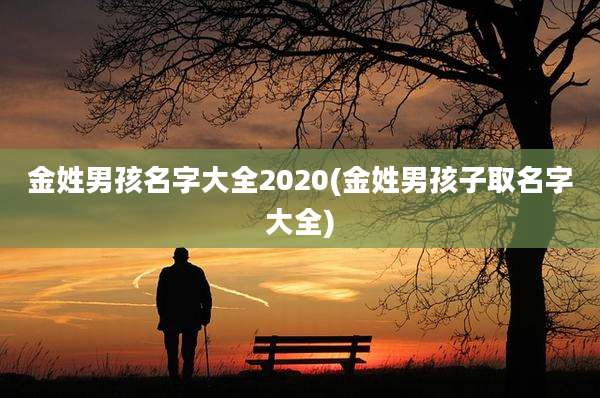 金姓男孩名字大全2020(金姓男孩子取名字大全)