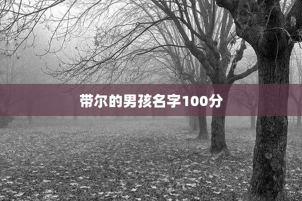 带尔的男孩名字100分