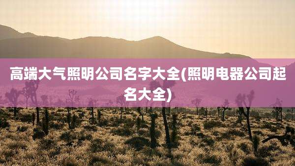 高端大气照明公司名字大全(照明电器公司起名大全)
