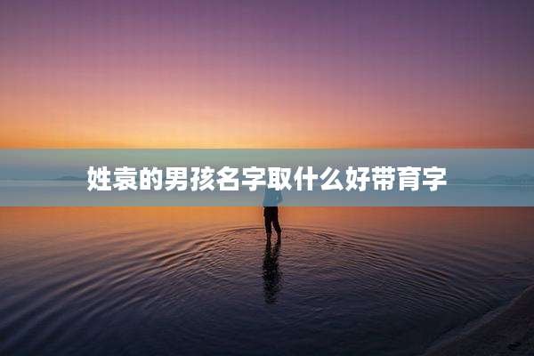 姓袁的男孩名字取什么好带育字