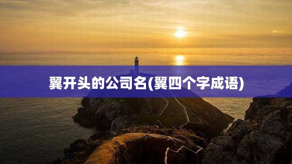 翼开头的公司名(翼四个字成语)