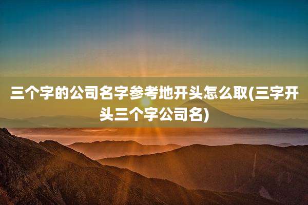 三个字的公司名字参考地开头怎么取(三字开头三个字公司名)