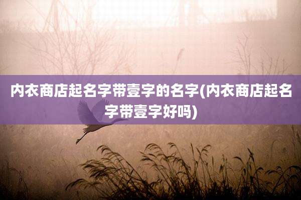 内衣商店起名字带壹字的名字(内衣商店起名字带壹字好吗)