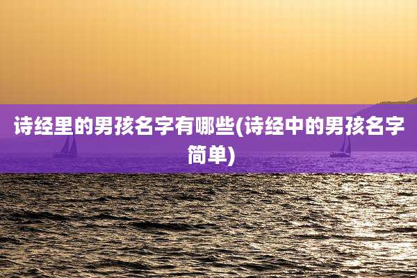 诗经里的男孩名字有哪些(诗经中的男孩名字 简单)