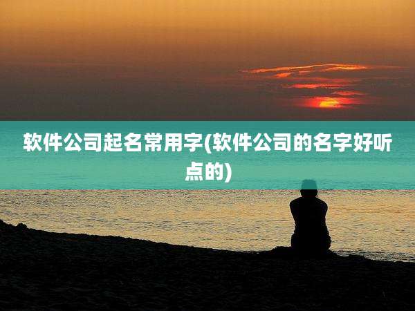 软件公司起名常用字(软件公司的名字好听点的)