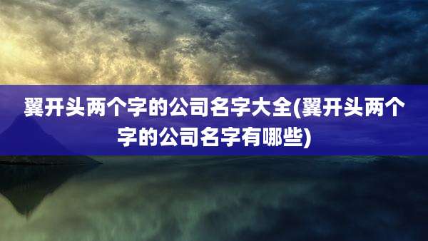 翼开头两个字的公司名字大全(翼开头两个字的公司名字有哪些)