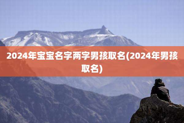 2024年宝宝名字两字男孩取名(2024年男孩取名)