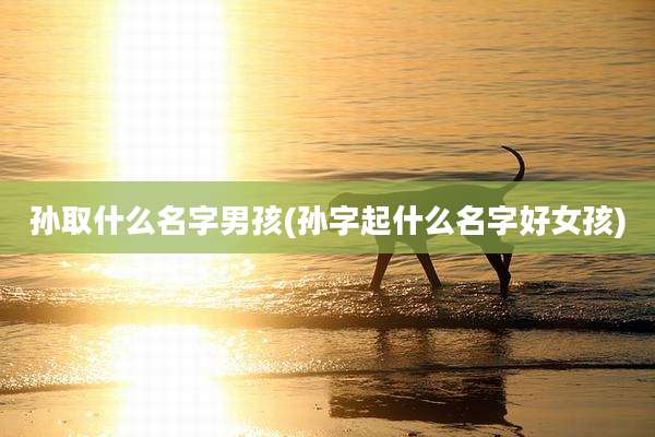 孙取什么名字男孩(孙字起什么名字好女孩)