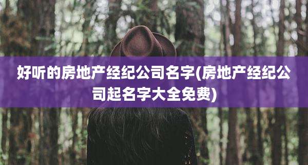 好听的房地产经纪公司名字(房地产经纪公司起名字大全免费)