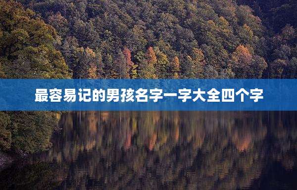 最容易记的男孩名字一字大全四个字