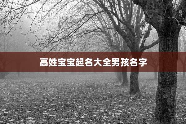 高姓宝宝起名大全男孩名字