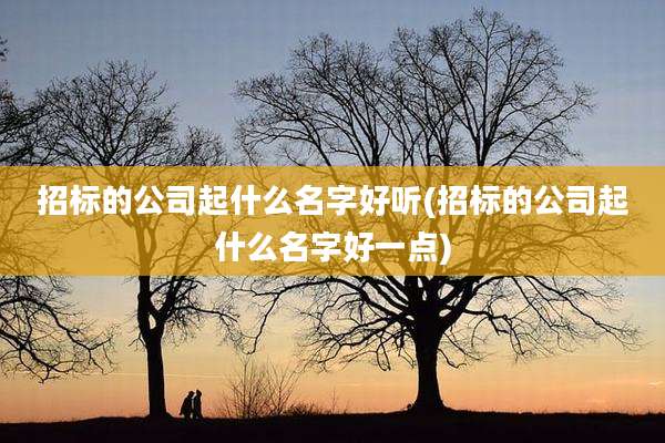 招标的公司起什么名字好听(招标的公司起什么名字好一点)