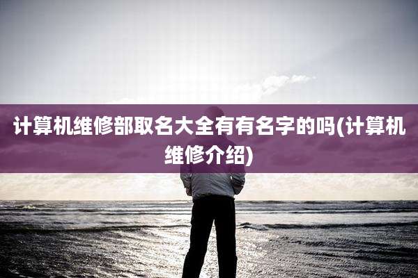 计算机维修部取名大全有有名字的吗(计算机维修介绍)