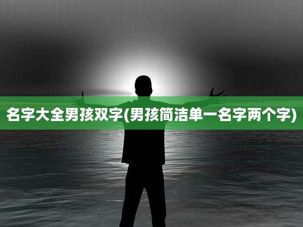 名字大全男孩双字(男孩简洁单一名字两个字)