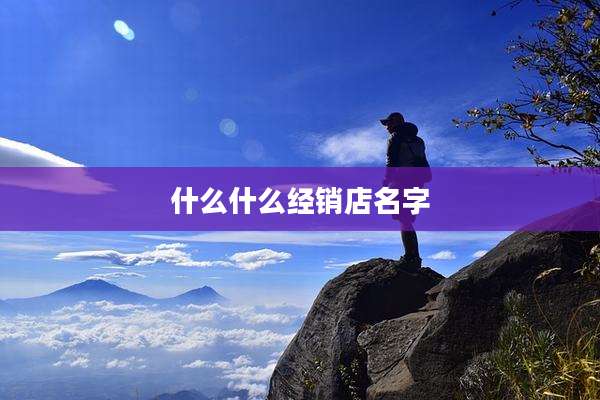 什么什么经销店名字