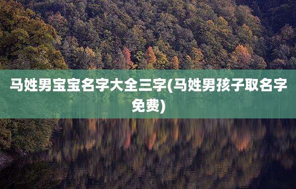 马姓男宝宝名字大全三字(马姓男孩子取名字免费)