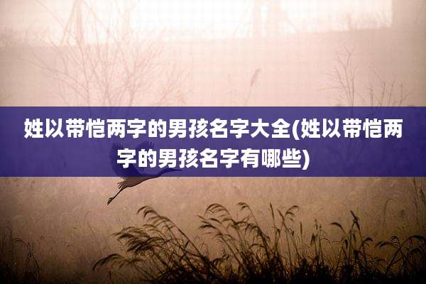 姓以带恺两字的男孩名字大全(姓以带恺两字的男孩名字有哪些)