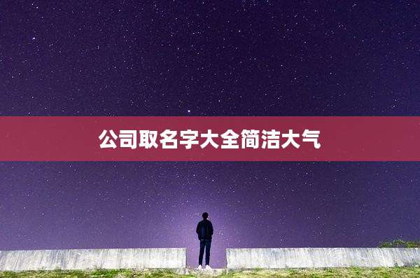 公司取名字大全简洁大气