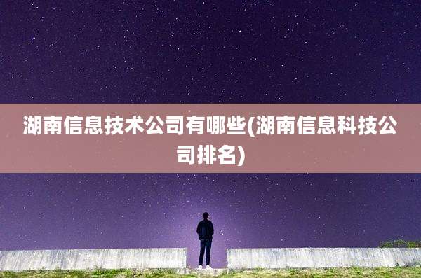 湖南信息技术公司有哪些(湖南信息科技公司排名)