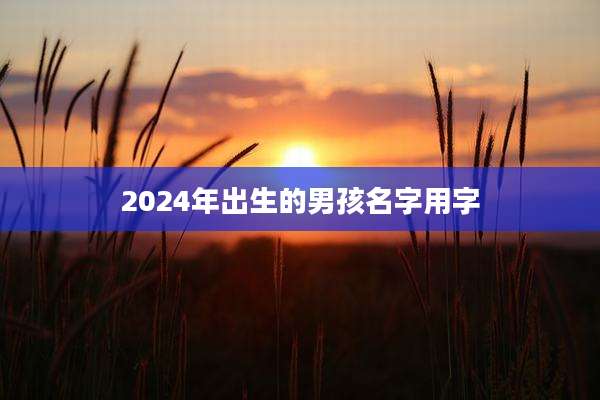 2024年出生的男孩名字用字