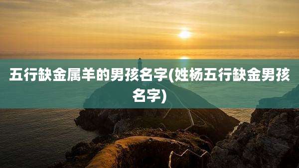 五行缺金属羊的男孩名字(姓杨五行缺金男孩名字)