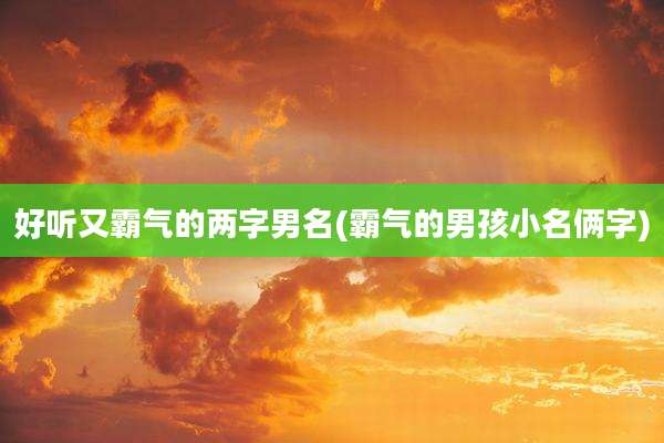 好听又霸气的两字男名(霸气的男孩小名俩字)