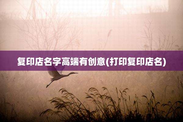 复印店名字高端有创意(打印复印店名)