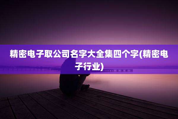 精密电子取公司名字大全集四个字(精密电子行业)