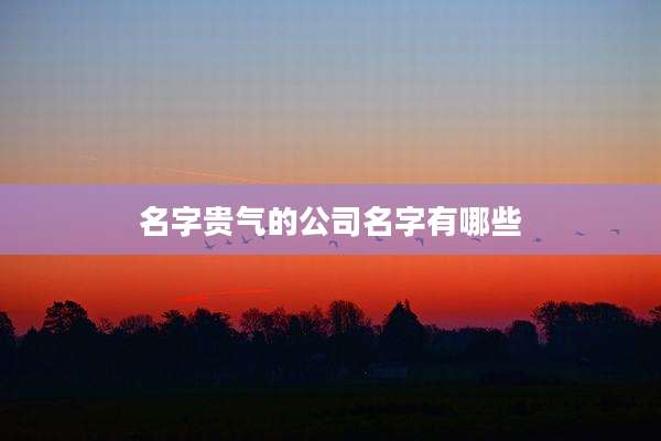 名字贵气的公司名字有哪些