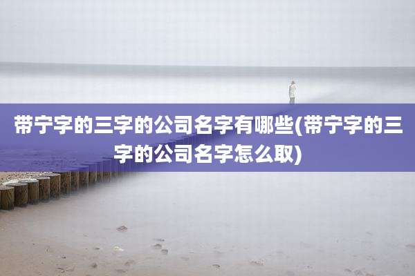 带宁字的三字的公司名字有哪些(带宁字的三字的公司名字怎么取)