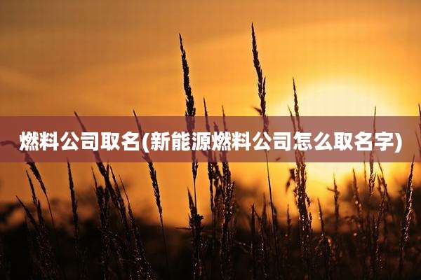 燃料公司取名(新能源燃料公司怎么取名字)