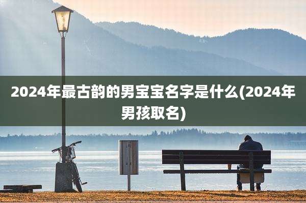 2024年最古韵的男宝宝名字是什么(2024年男孩取名)