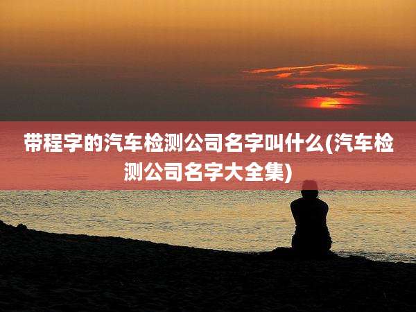 带程字的汽车检测公司名字叫什么(汽车检测公司名字大全集)