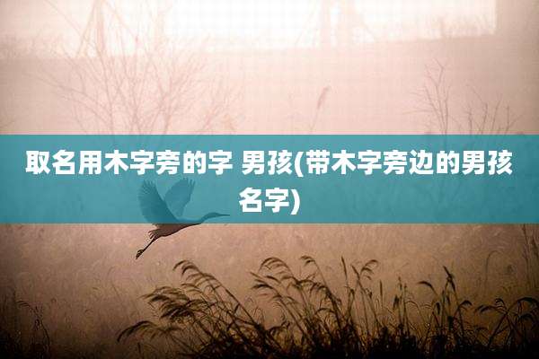 取名用木字旁的字 男孩(带木字旁边的男孩名字)
