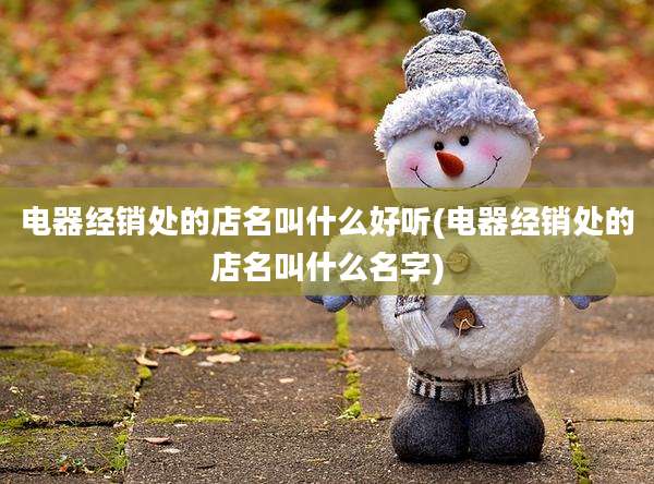 电器经销处的店名叫什么好听(电器经销处的店名叫什么名字)