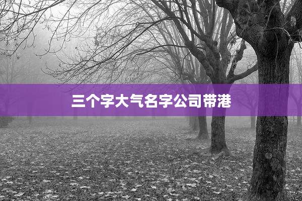 三个字大气名字公司带港