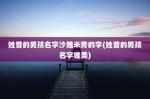姓普的男孩名字沙雕米旁的字(姓普的男孩名字唯美)