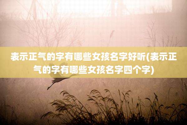 表示正气的字有哪些女孩名字好听(表示正气的字有哪些女孩名字四个字)