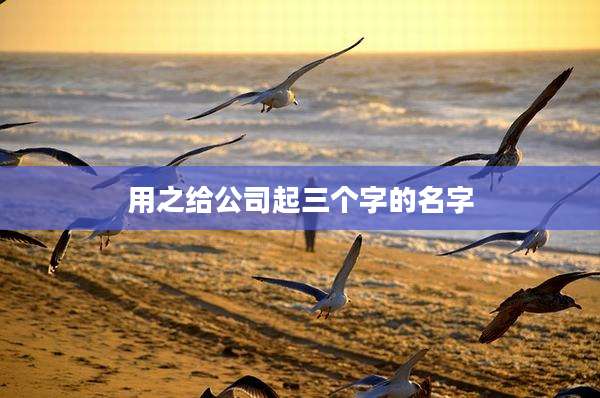 用之给公司起三个字的名字