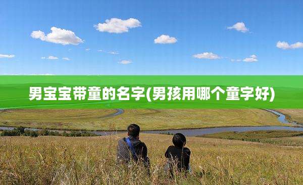 男宝宝带童的名字(男孩用哪个童字好)