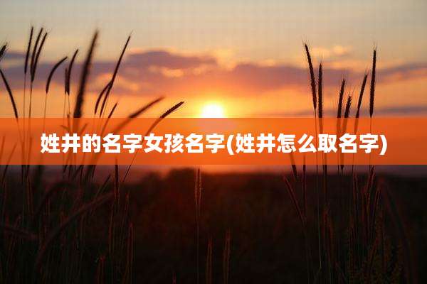 姓井的名字女孩名字(姓井怎么取名字)