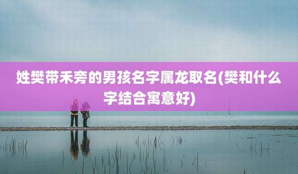 姓樊带禾旁的男孩名字属龙取名(樊和什么字结合寓意好)