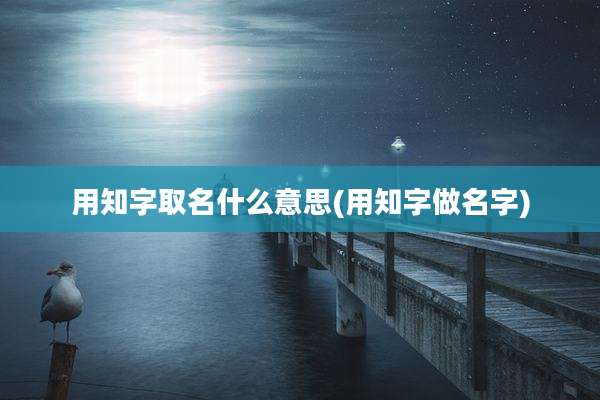 用知字取名什么意思(用知字做名字)