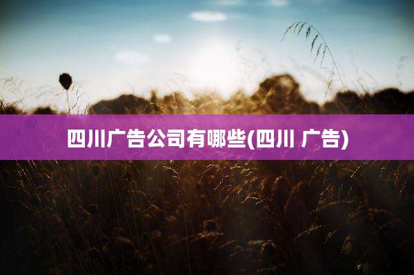 四川广告公司有哪些(四川 广告)