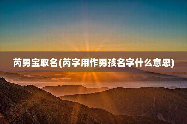 芮男宝取名(芮字用作男孩名字什么意思)