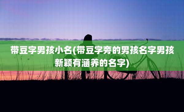 带豆字男孩小名(带豆字旁的男孩名字男孩新颖有涵养的名字)