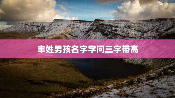 丰姓男孩名字学问三字带高