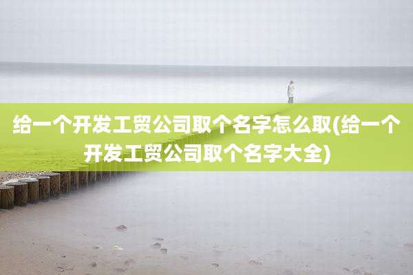 给一个开发工贸公司取个名字怎么取(给一个开发工贸公司取个名字大全)